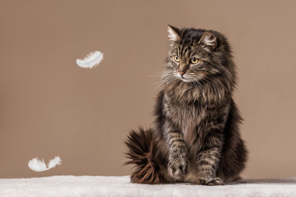 Photograph by Яна Нарбутович