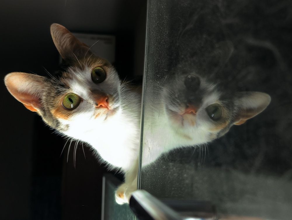 Photograph by ANDREY PERESHEIN