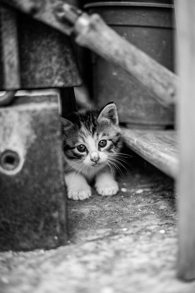 Photograph by Galina Abubekerova