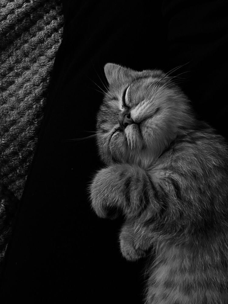 Photograph by Анастасия