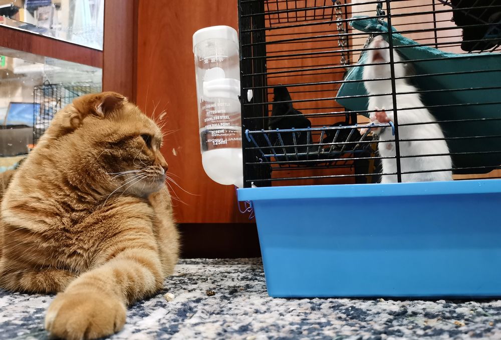 Фотография автора Валерий Цуркан