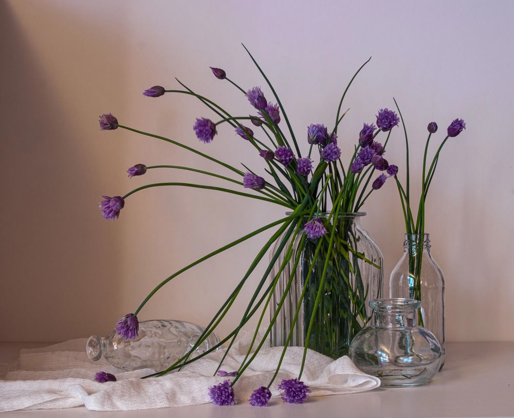 Photograph by Елена Рудкевич