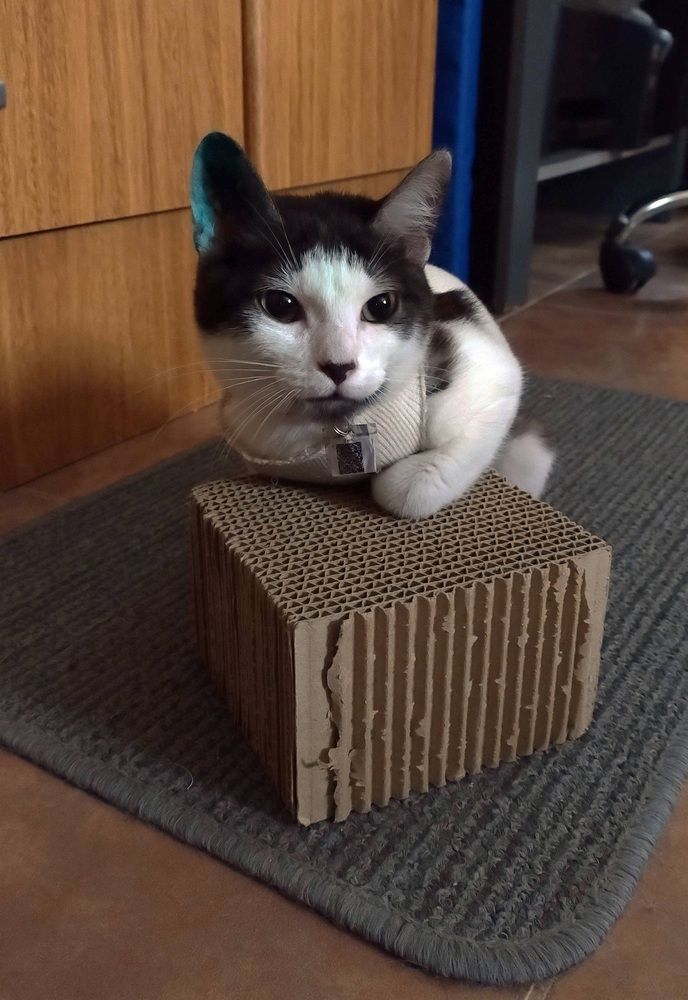 Фотография автора Jorge Martinez