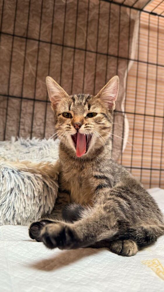 Photograph by Светлана Парамонова