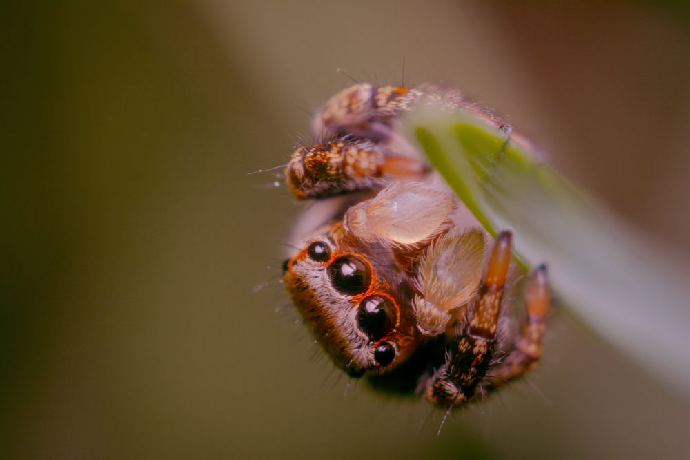 Photograph by Максим Юрлов