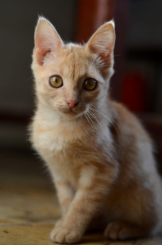 Photograph by Сергей Данилюк