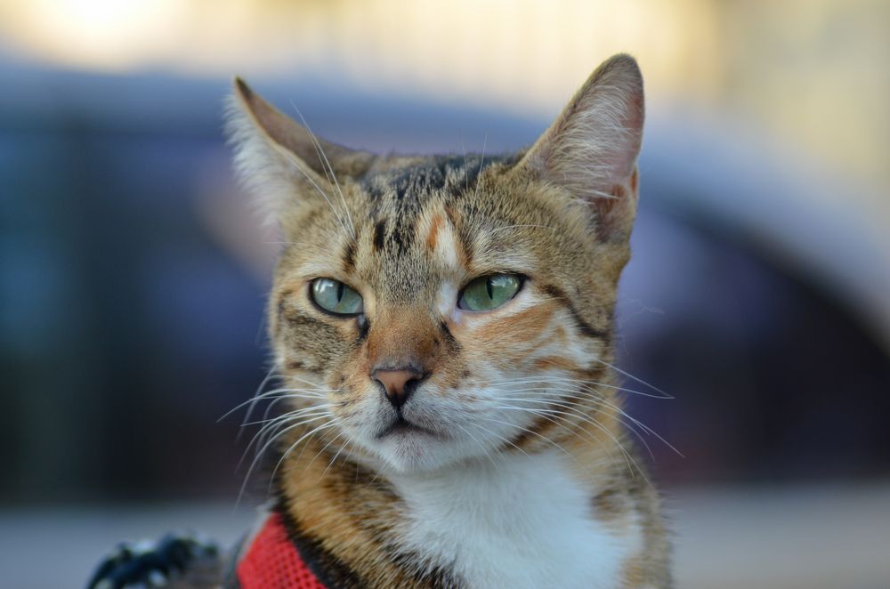 Photograph by Сергей Данилюк