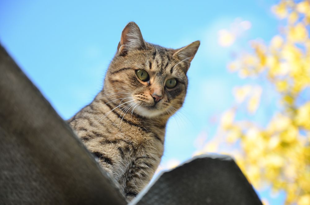 Photograph by Сергей Данилюк