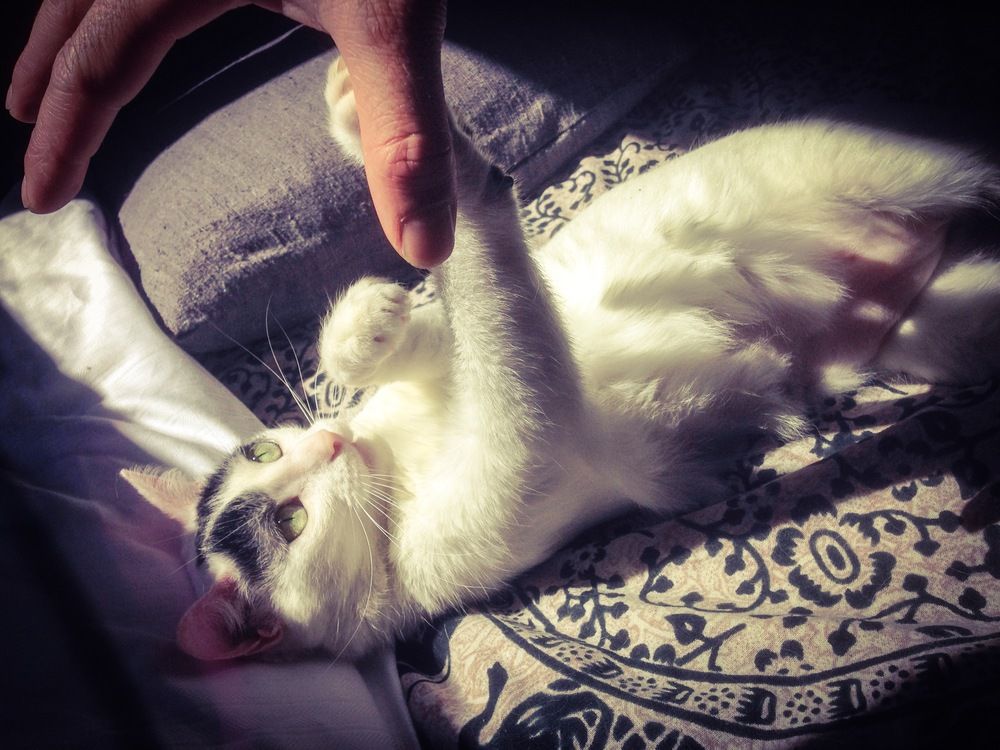 Photograph by Jorge Sastre