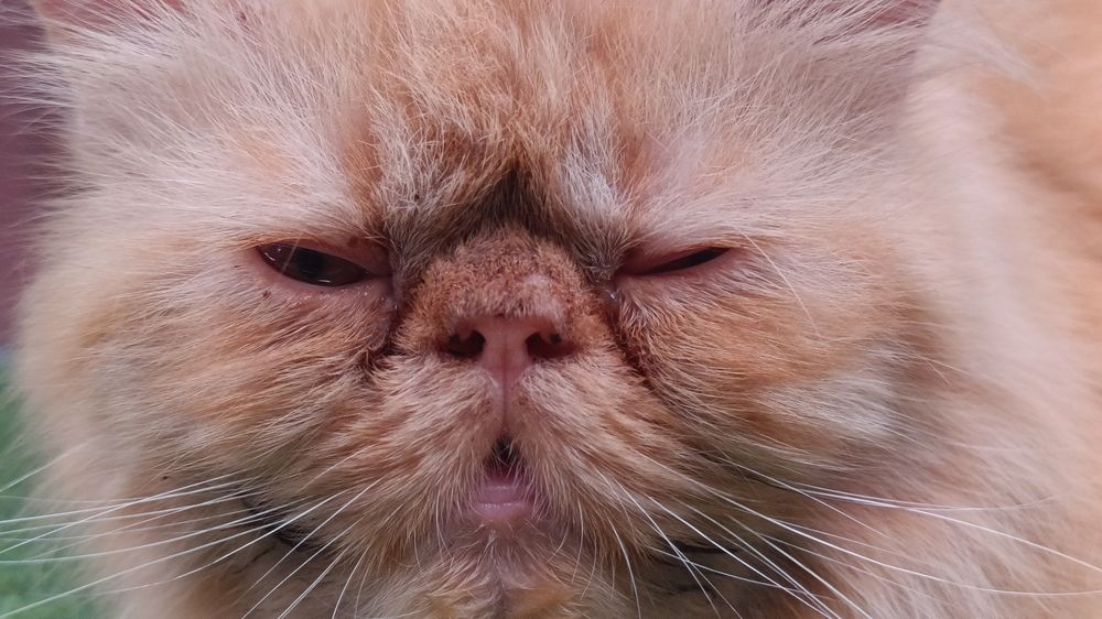 Photograph by anoop s