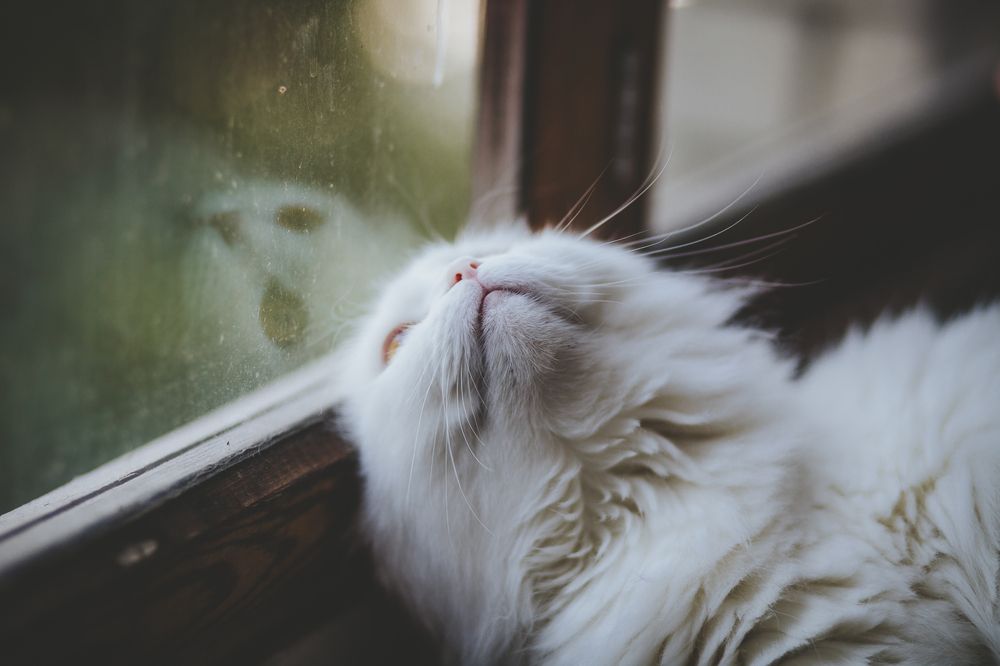 Photograph by Денис