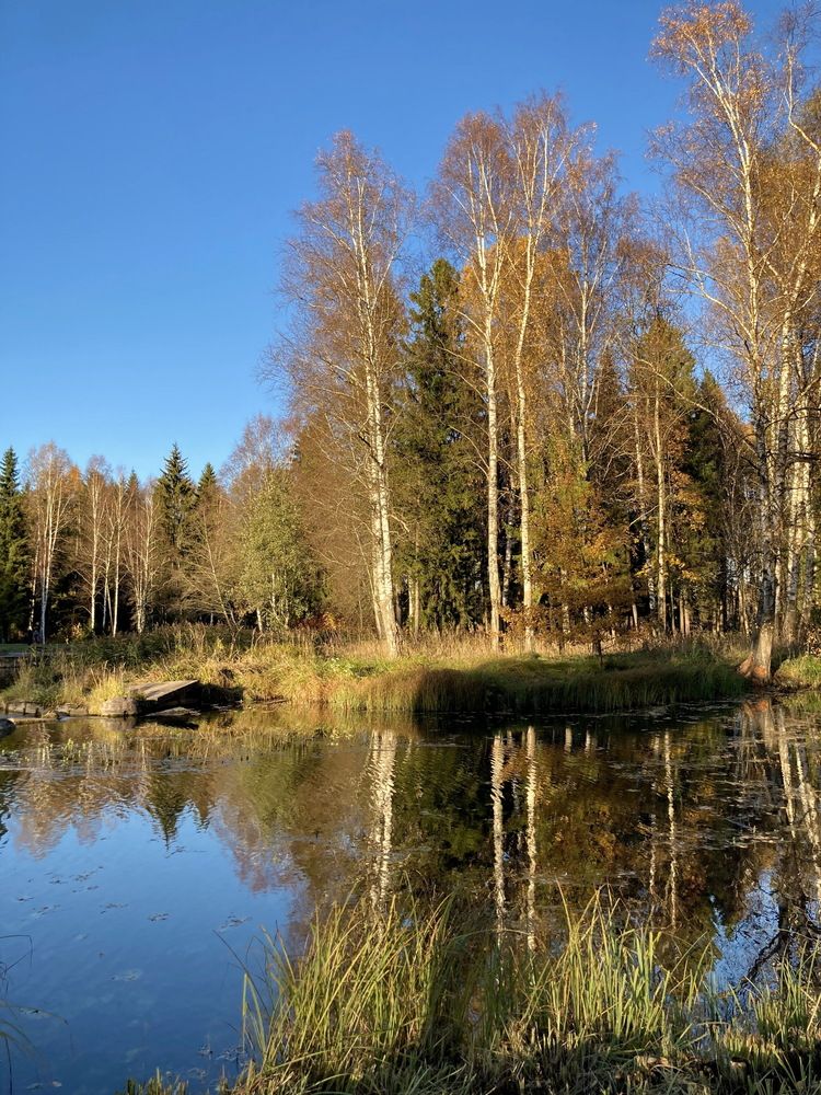 Осень