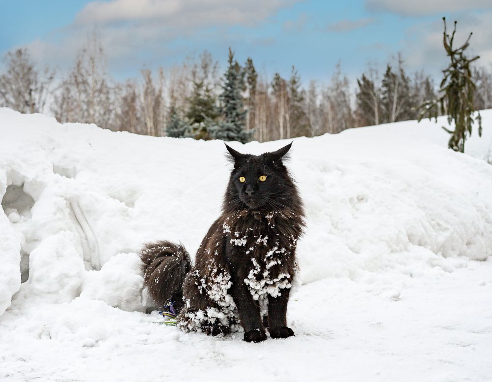 Photograph by NADEZHDA PELYMSKAIA