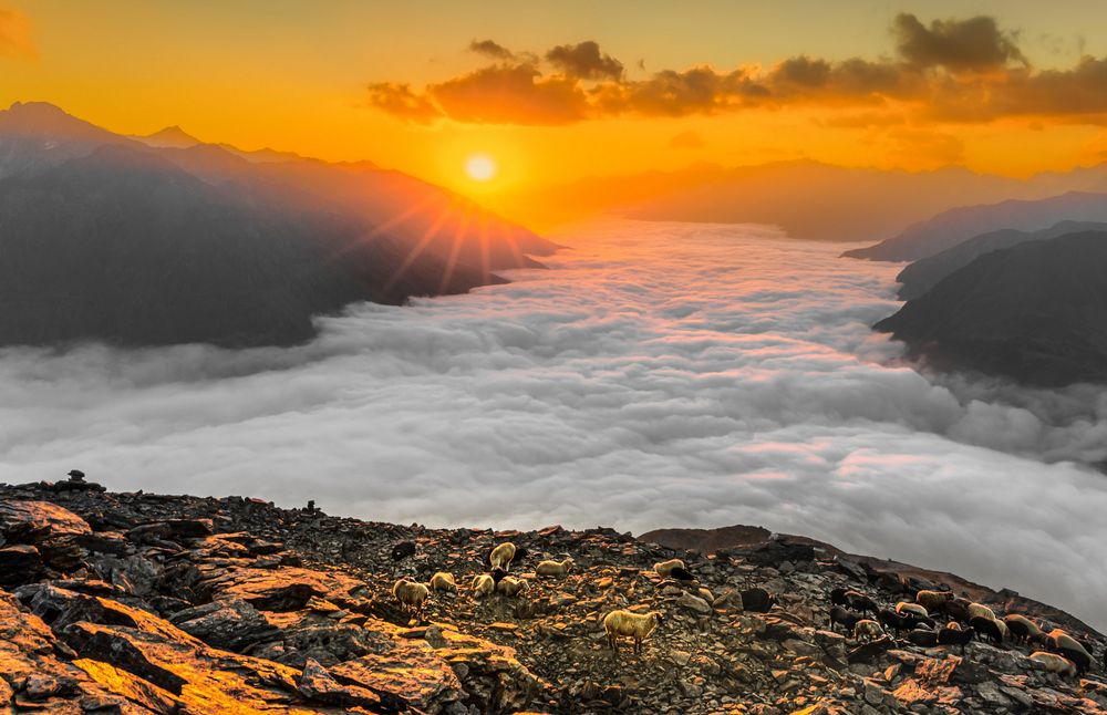 Photograph by Валерий Одинцов