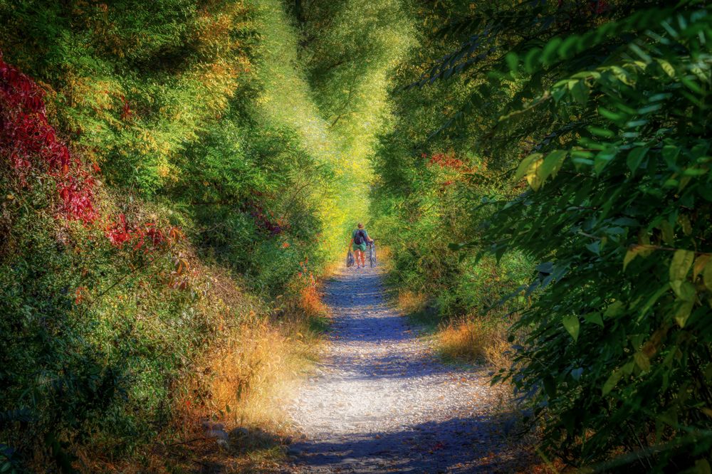 Photograph by Владимир Кваша