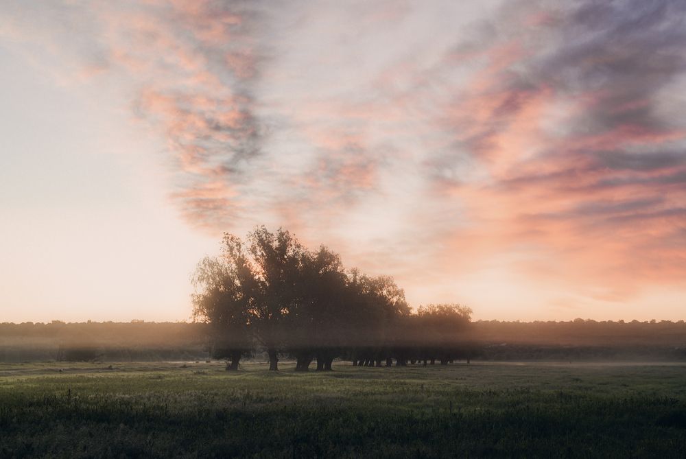 Фотография автора Oleg Suhenko