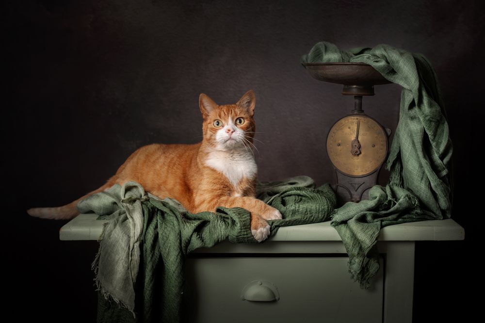 Photograph by Gertrude Goené