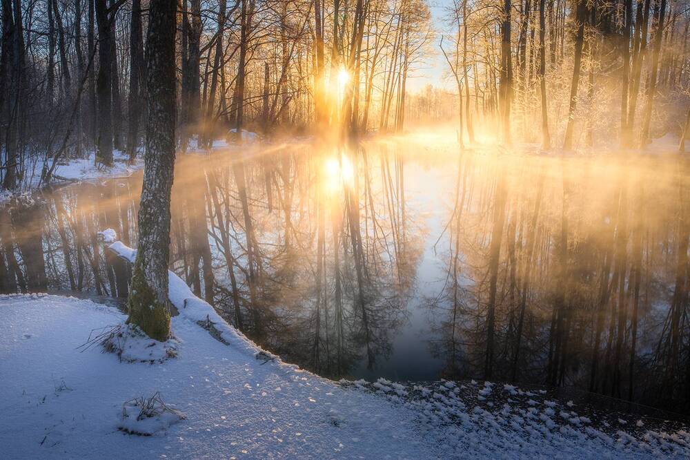 Photograph by Andres Papp