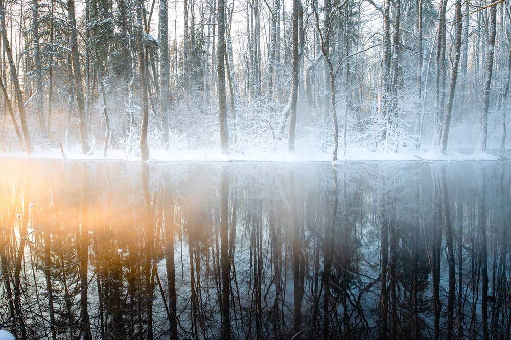 Photograph by Andres Papp