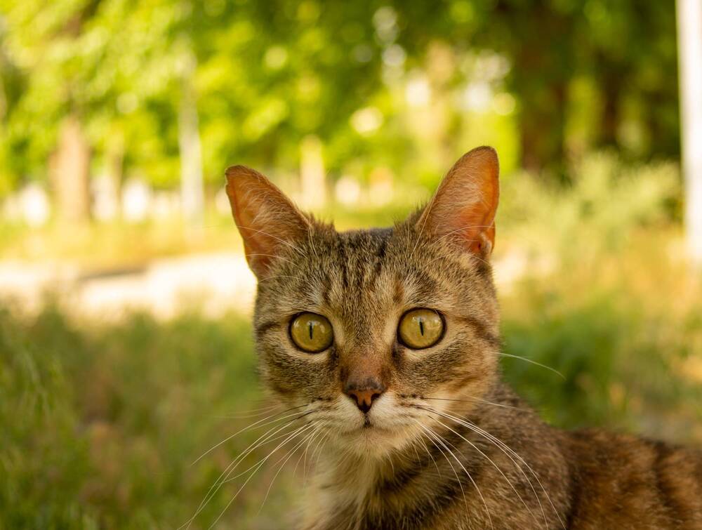 Photograph by Евгений Апухтин