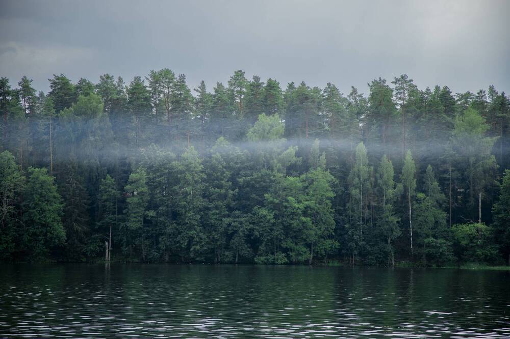 Фотография автора Станислава Гордеева