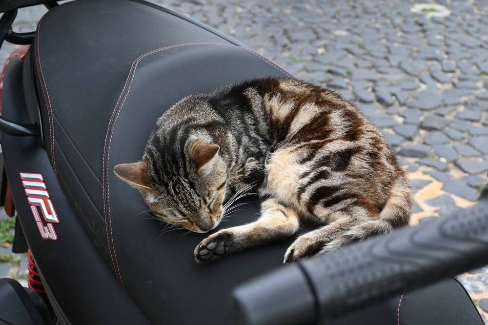 Photograph by Нели Младенова