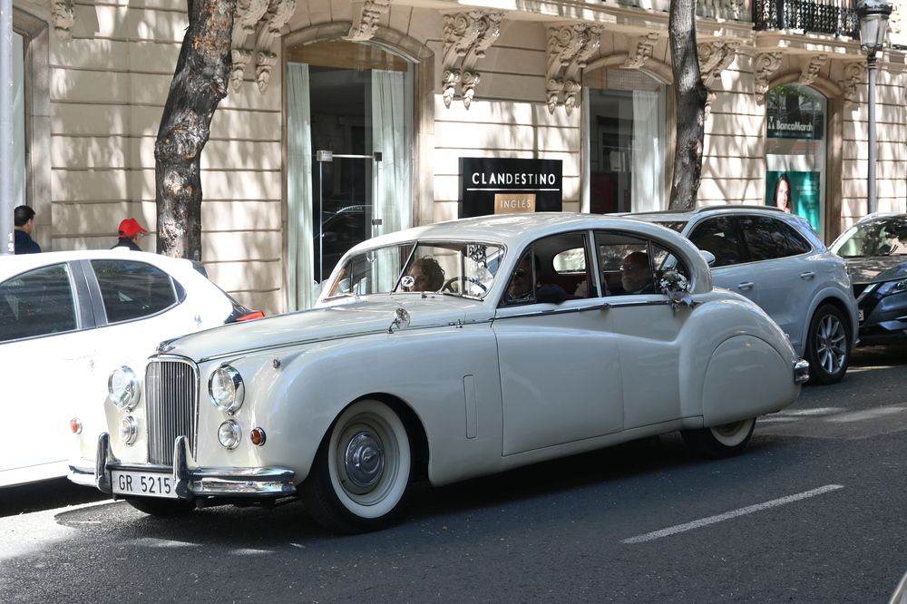 Photograph by Нели Младенова