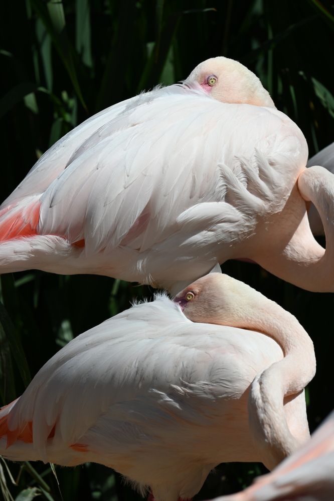 Photograph by Нели Младенова