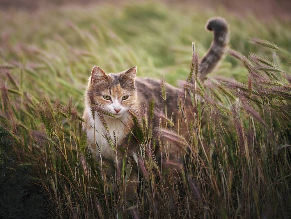 Photograph by Юлия Григорьева