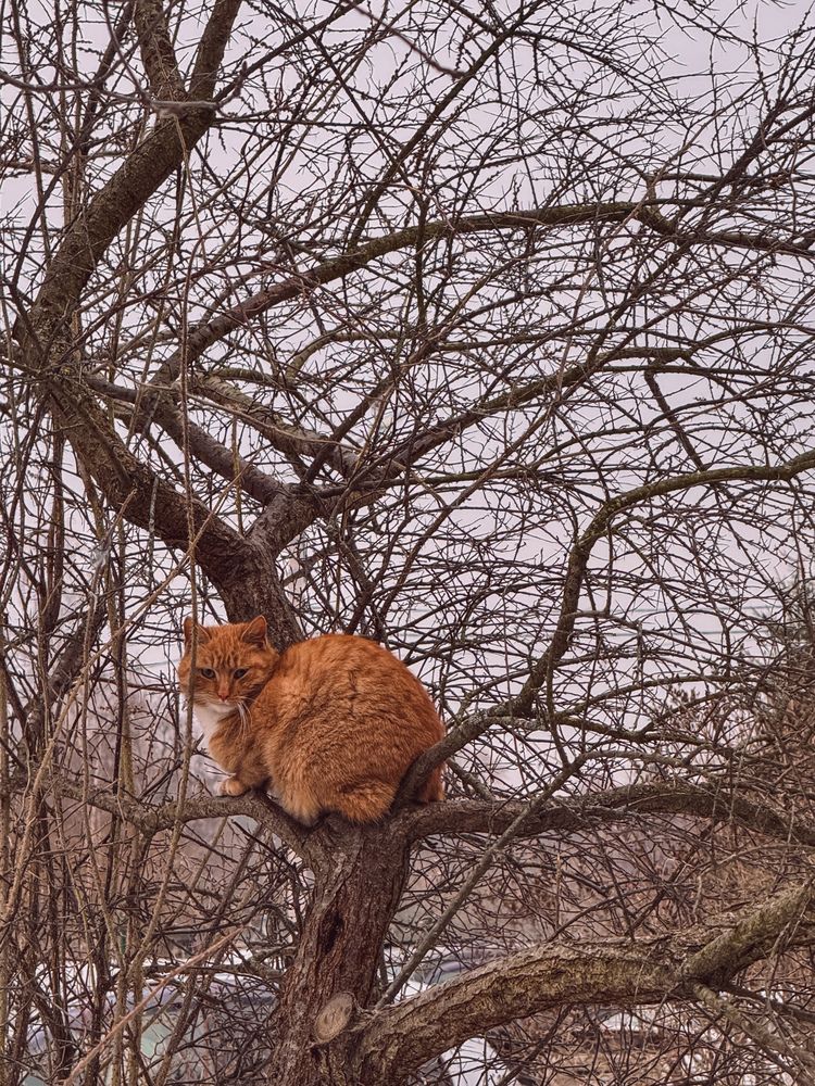Photograph by Дарья Ищенко