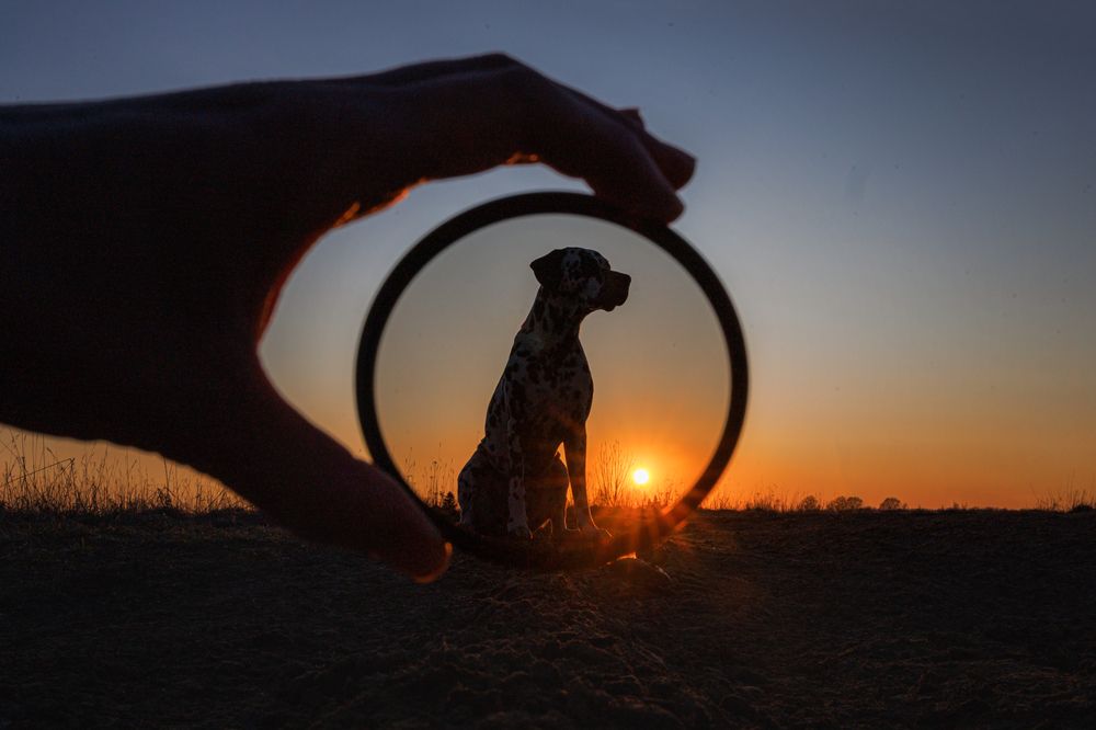 Photograph by Яна Нарбутович