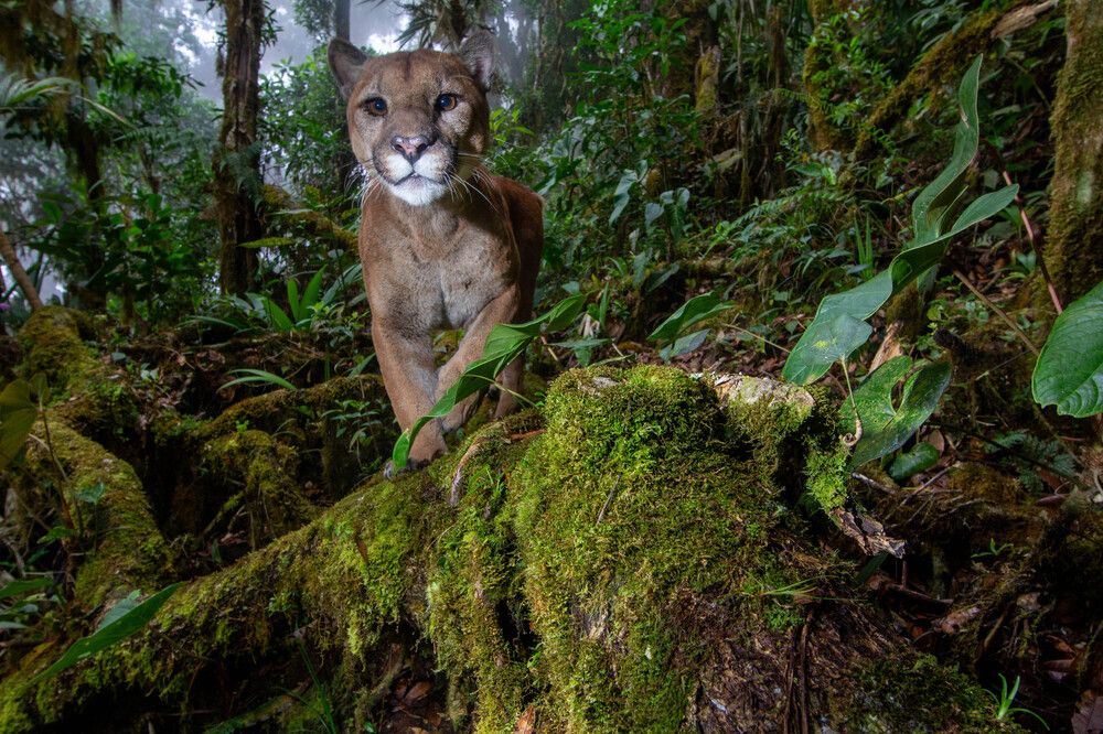 Photograph by Benjamin Luke