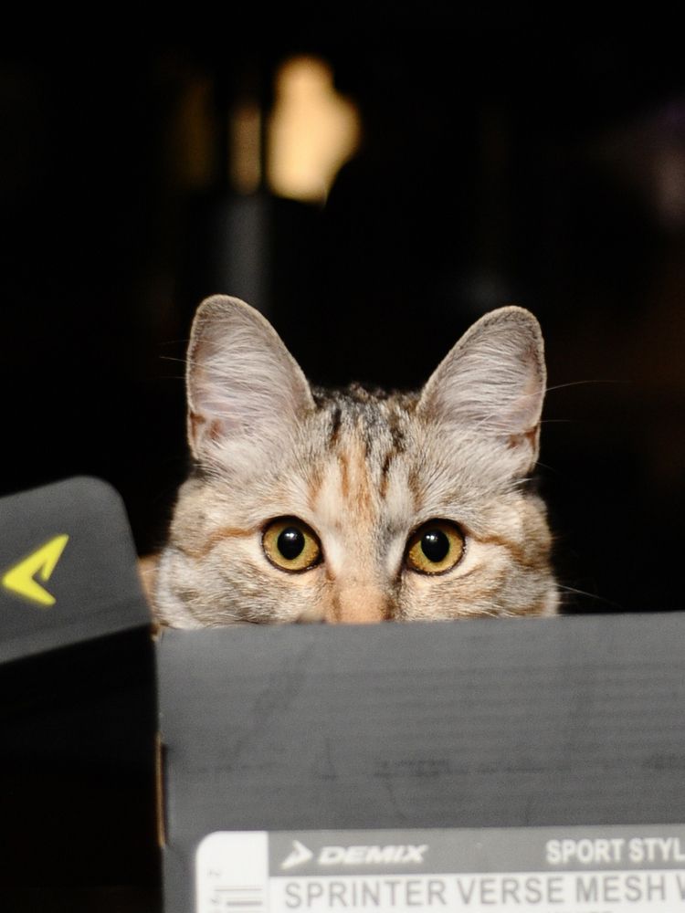 Фотография автора Тагир Должиков