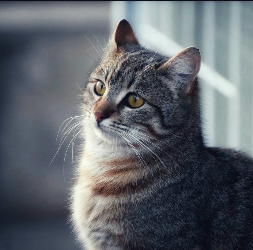 Photograph by Елена Василева