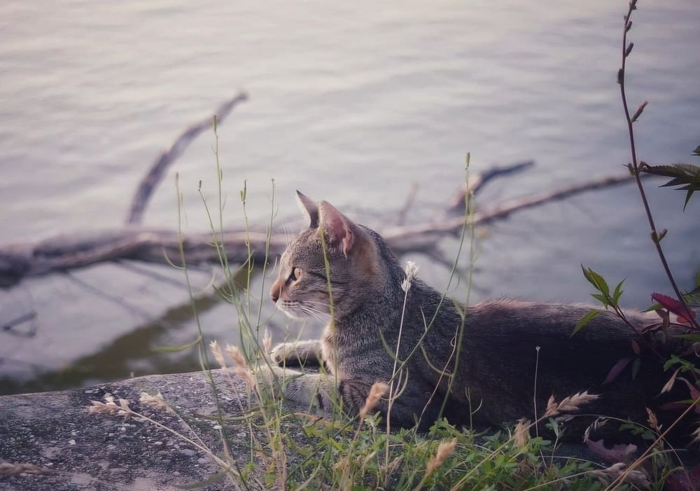 Photograph by Елена Василева