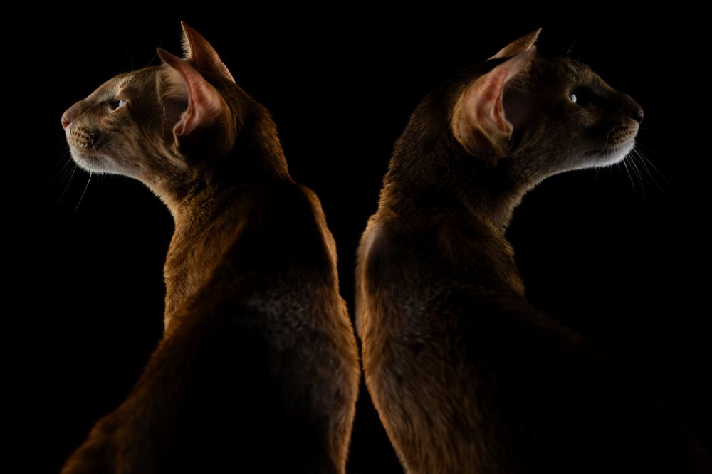 Photograph by Зубкова Юлия