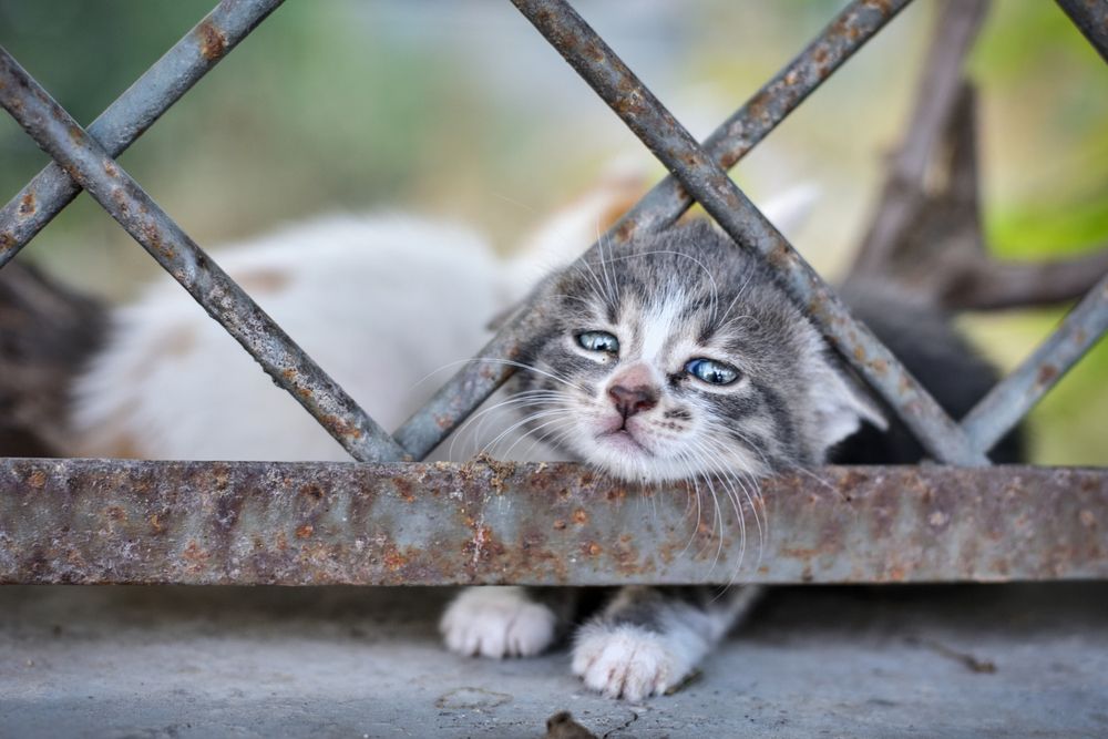 Photograph by Vladimir Shish