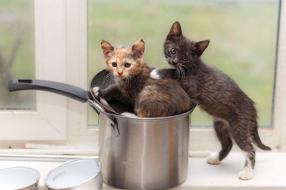 Photograph by Людмила Бандурина