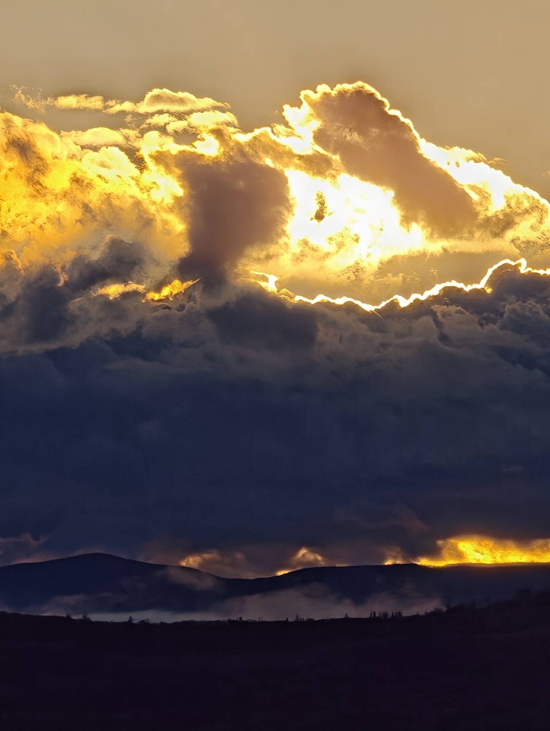 Photo #12214578