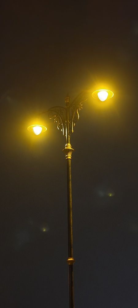 Photo #12214584