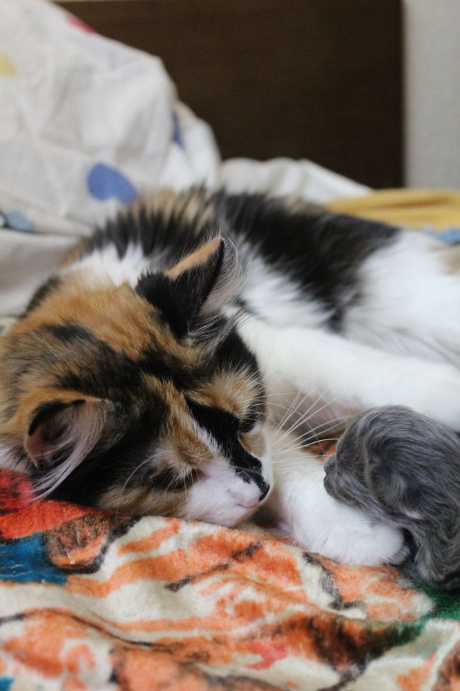 Photograph by Татьяна Леонова