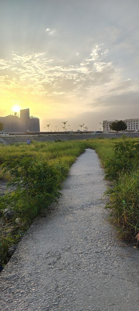 Photo #12214601
