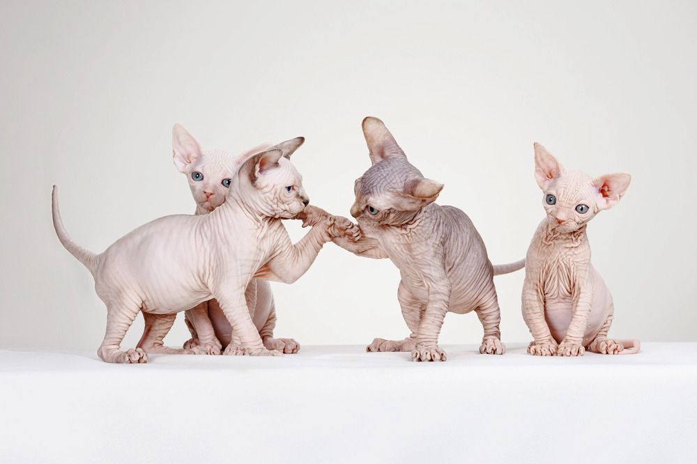 Photograph by Ирина Левакова