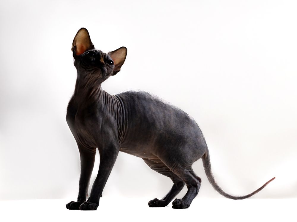 Photograph by Ирина Левакова