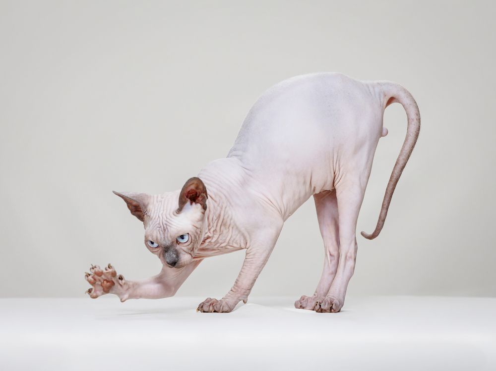 Photograph by Ирина Левакова