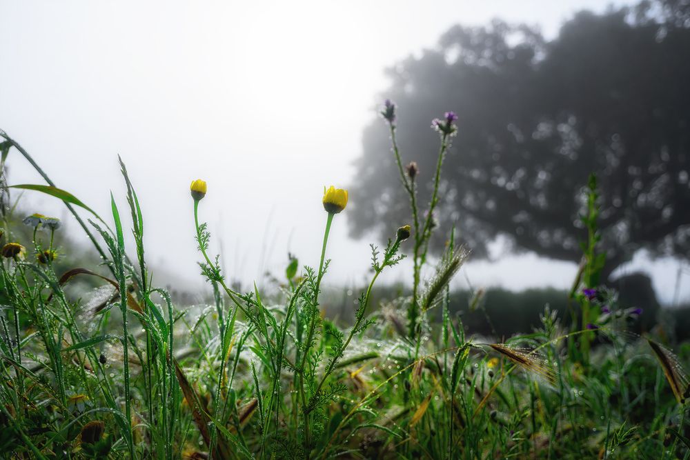 Photograph by Veaceslav Chisalita