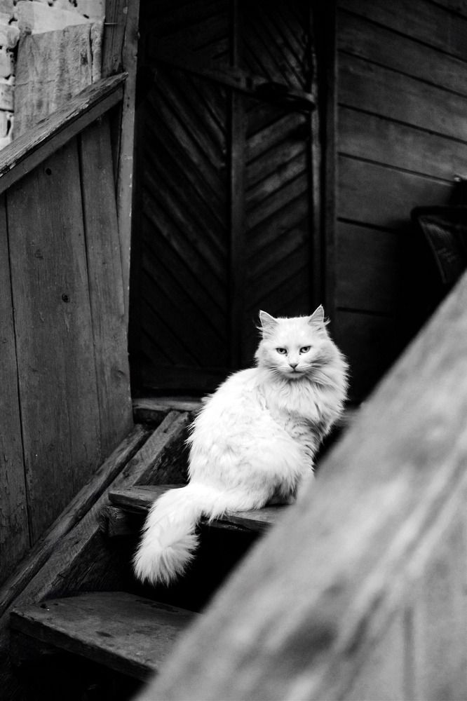 Photograph by Наталья Мерончук