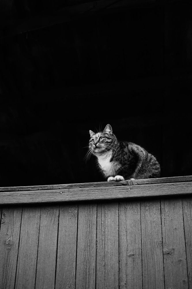 Photograph by Наталья Мерончук