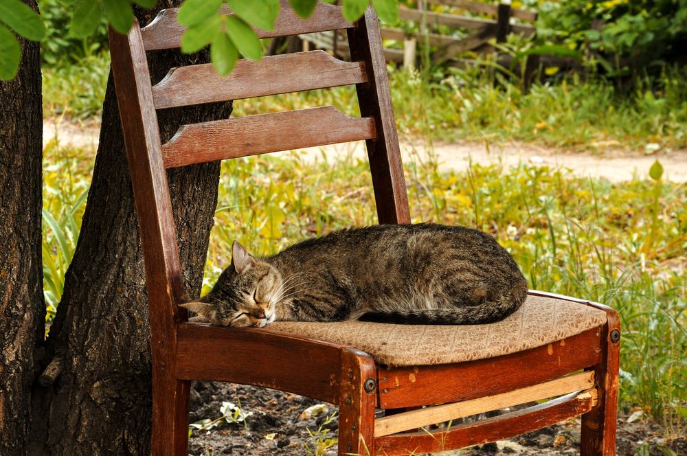 До следующей весны не будить