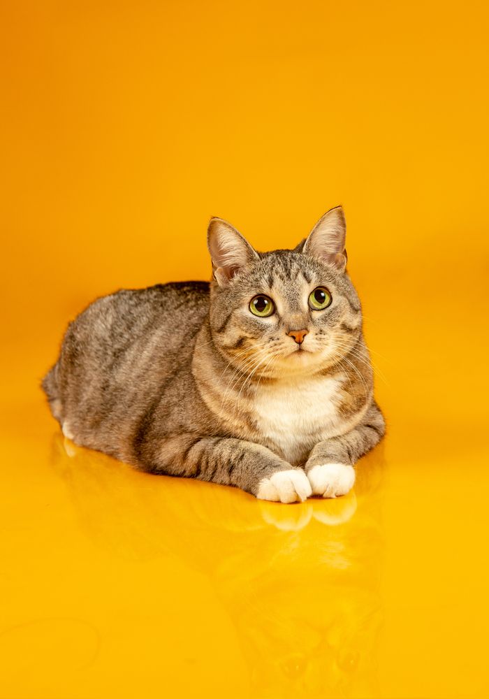 Photograph by Семенов Александр